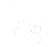 Gif animé feux d'artifices 54